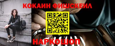 мет Кингисепп