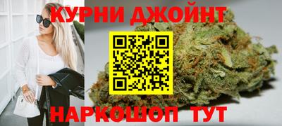 мет Кингисепп