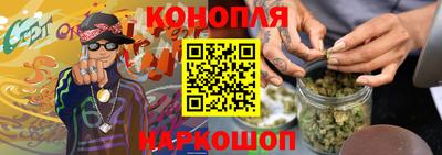 мет Кингисепп