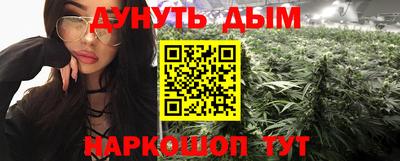 мет Кингисепп