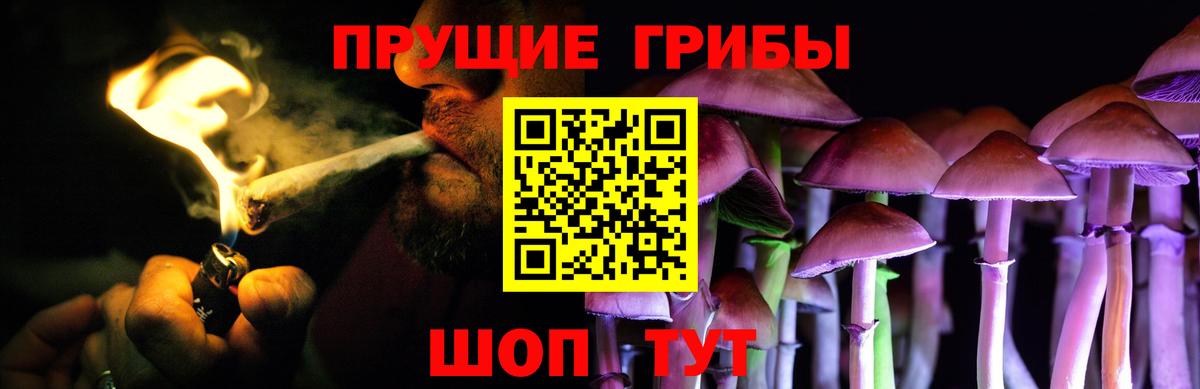 Псилоцибиновые грибы прущие грибы  Галлюциногенные грибы Cubensis  Пенза  Вход с VPN 